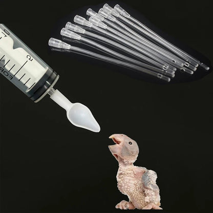 Wholesale Bulk Bird Parrot Feeder Spoon, Baby Bird Milk Medicine Feeding Syringe with Soft Feeding Tubes, Baby Bird Feeding Tools Kit - Furbury