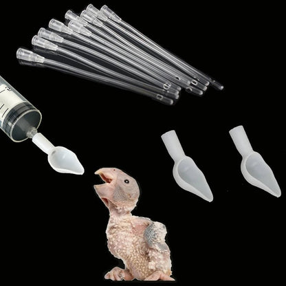 Wholesale Bulk Bird Parrot Feeder Spoon, Baby Bird Milk Medicine Feeding Syringe with Soft Feeding Tubes, Baby Bird Feeding Tools Kit - Furbury