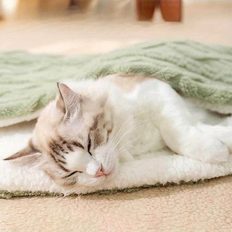 Wholesale Bulk Cat pet blanket warm flannel green cat dog blanket small blanket daily warmth comfortable sleeping pad cover blanket - Furbury