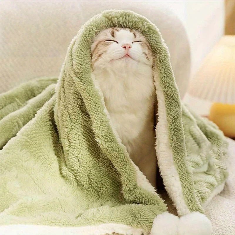 Wholesale Bulk Cat pet blanket warm flannel green cat dog blanket small blanket daily warmth comfortable sleeping pad cover blanket - Furbury