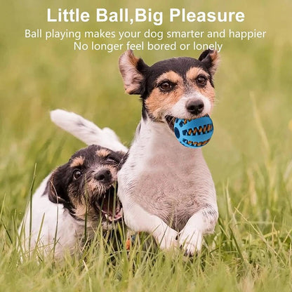 Wholesale Bulk Dog Ball Toys for Small Dogs Interactive Elasticity Puppy Chew Toy Tooth Cleaning Rubber Food Ball Toy Pet Stuff Accessories - Furbury