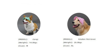 Wholesale Bulk Dog Baseball Cap Mesh Pet Dog Hat Breathable for Small Medium Dogs Ear Holes Adjustable Dog Hat Pet Accessories - Furbury