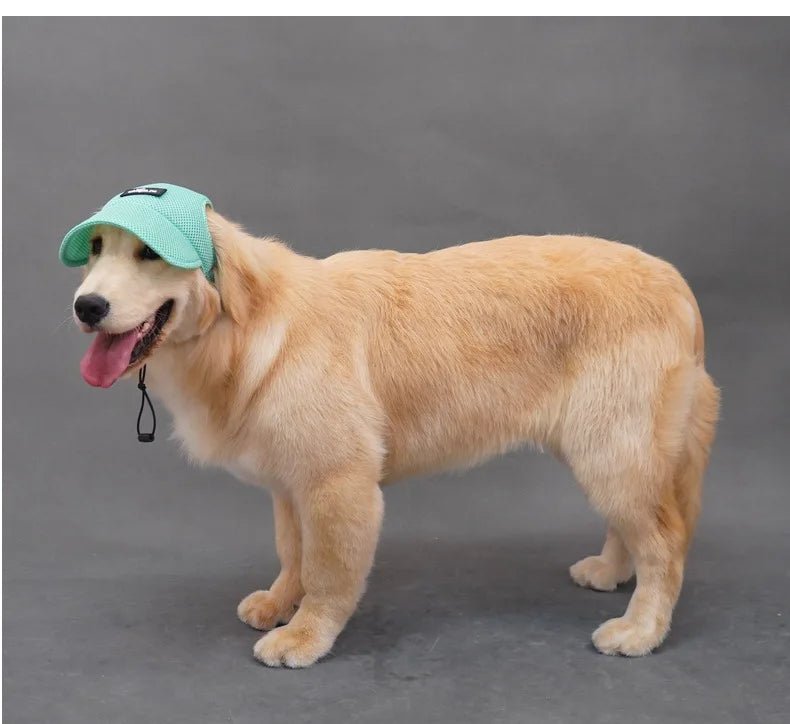 Wholesale Bulk Dog Baseball Cap Mesh Pet Dog Hat Breathable for Small Medium Dogs Ear Holes Adjustable Dog Hat Pet Accessories - Furbury