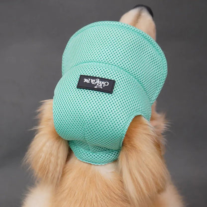 Wholesale Bulk Dog Baseball Cap Mesh Pet Dog Hat Breathable for Small Medium Dogs Ear Holes Adjustable Dog Hat Pet Accessories - Furbury