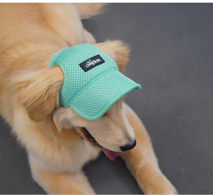 Wholesale Bulk Dog Baseball Cap Mesh Pet Dog Hat Breathable for Small Medium Dogs Ear Holes Adjustable Dog Hat Pet Accessories - Furbury