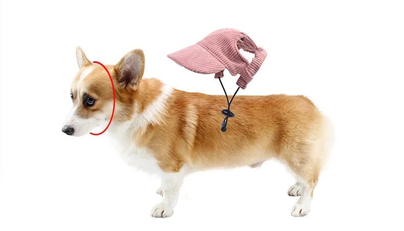 Wholesale Bulk Dog Baseball Cap Mesh Pet Dog Hat Breathable for Small Medium Dogs Ear Holes Adjustable Dog Hat Pet Accessories - Furbury