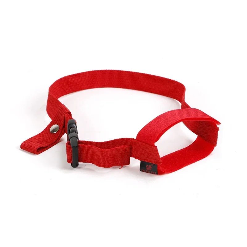Wholesale Bulk Dog Muzzle Anti - bite Stop Barking Adjusting Straps Mask for Small Dogs Soft Nylon Dog Muzzle Breathable Stop Barking Mouth Cover - Furbury