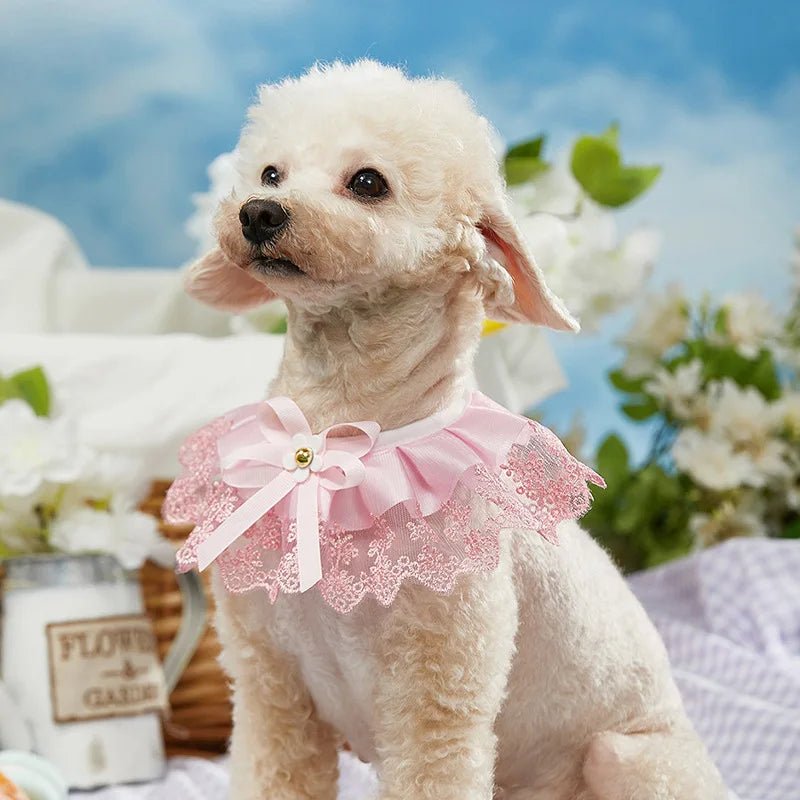 Wholesale Bulk Fashion Bowknot Pet Collar Cute Lace Mesh Embroidery Pet Bib Burp Cloth Lovely Dog Cat Necklace Neck Strap For Small Medium Dog - Furbury