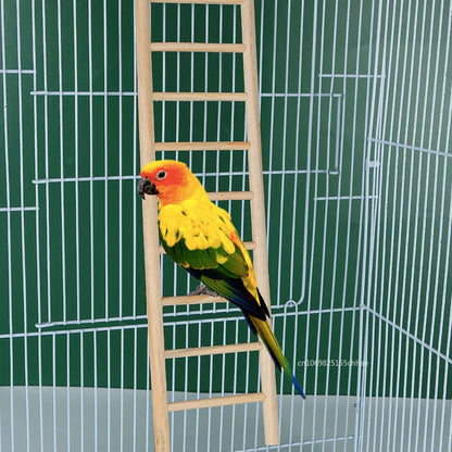 Wholesale Bulk Hamster Parrot Toys Hanging Cage Climbing Ladders with Natural Wood Parrots Suspension Bridge Swing Toys Bird Small Pet Supplies - Furbury
