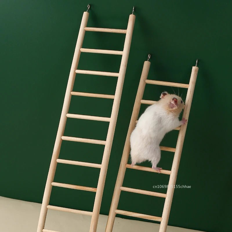 Wholesale Bulk Hamster Parrot Toys Hanging Cage Climbing Ladders with Natural Wood Parrots Suspension Bridge Swing Toys Bird Small Pet Supplies - Furbury