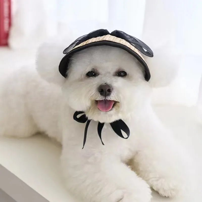 Wholesale Bulk Hat For Dog Woven Small Dog Hats Lace Soft Comfortable Pet Hats Adjustable For Walking Climbing Running Hiking Outdoor - Furbury