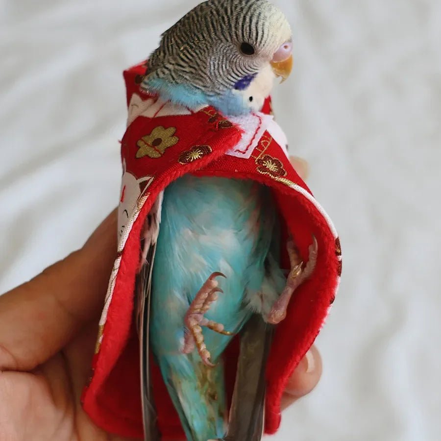Wholesale Bulk Lovely Bird Clothes Colorful Cover Dress Up and Protect Your Pet Parrots Comfortable Bird Cloth Birds Suit Parakeet Clothing - Furbury