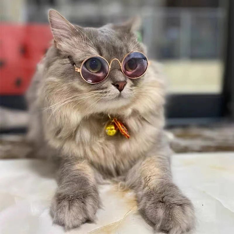 Wholesale Bulk Lovely Vintage Round Cat Sunglasses Reflection Eye wear glasses For Small Dog Cat Pet Photos Pet Products Props Accessories - Furbury