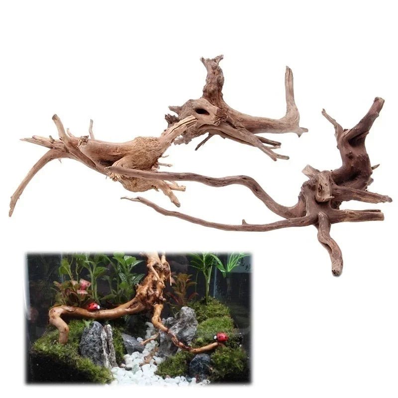 Wholesale Bulk Natural Tree Trunk Driftwood Aquarium Fish Tank Reptile Cylinder Roots Plant Wood Decoration Ornament Accessory Aquarium Plants - Furbury
