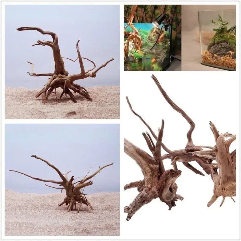 Wholesale Bulk Natural Tree Trunk Driftwood Aquarium Fish Tank Reptile Cylinder Roots Plant Wood Decoration Ornament Accessory Aquarium Plants - Furbury
