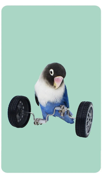 Wholesale Bulk Parrot Balance Car Deboring Toys Small And Medium - Sized Bird Supplies Roller Skateboard Skill Training Props Phoenix Bird Toys - Furbury