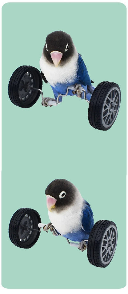 Wholesale Bulk Parrot Balance Car Deboring Toys Small And Medium - Sized Bird Supplies Roller Skateboard Skill Training Props Phoenix Bird Toys - Furbury