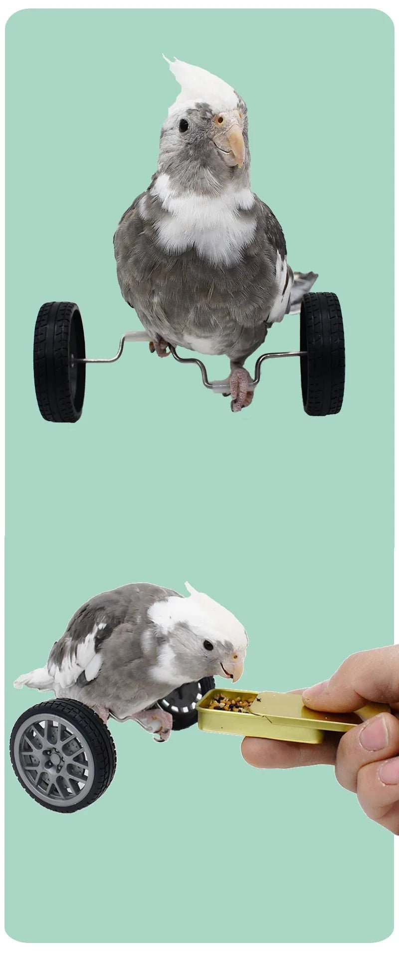 Wholesale Bulk Parrot Balance Car Deboring Toys Small And Medium - Sized Bird Supplies Roller Skateboard Skill Training Props Phoenix Bird Toys - Furbury