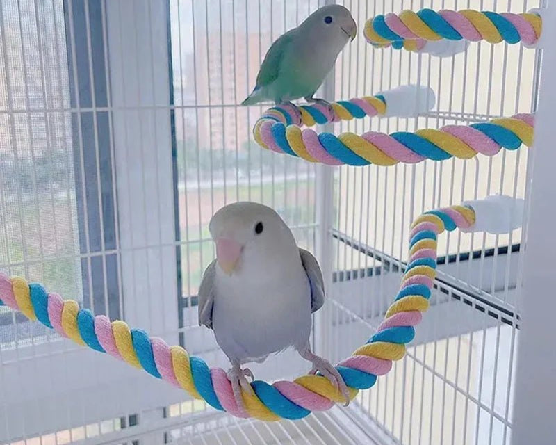 Wholesale Bulk Pet Bird Bite Toys Parrot Color Cotton Rope Toys Elastic Parrot Climbing Toys Sturdy Bird Swing Harness Cage Pet Toy Swing Stand - Furbury