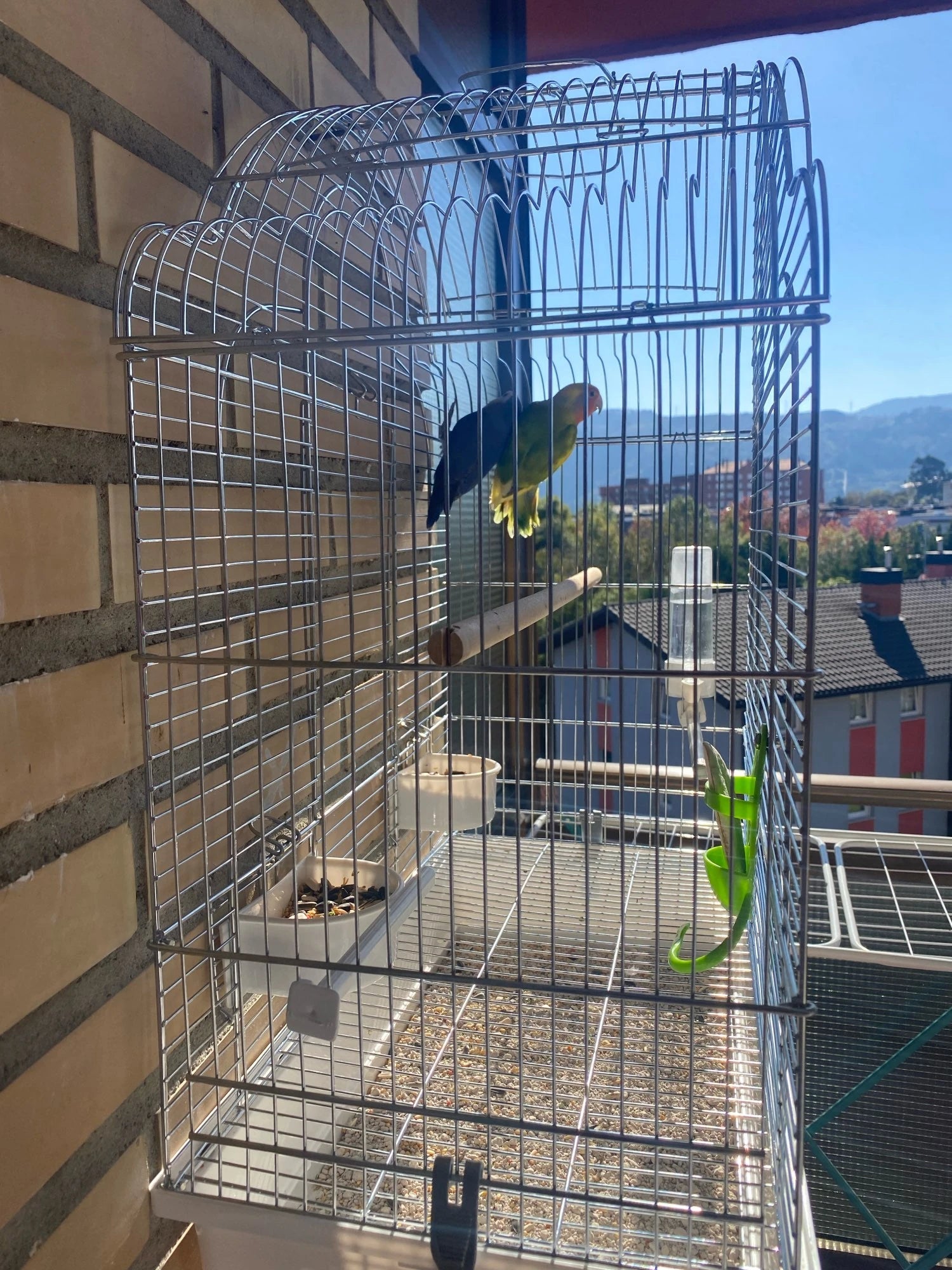 Wholesale Bulk Pet Parrot Feeder Hanging Cage Fruit Vegetable Container Feeding Cup Cuttlebone Stand Holder Pet Cage Accessories Supplies - Furbury