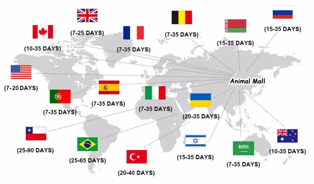 Wholesale Bulk Pigeon Helmet Parrot Hat Bird Pet Protective Gear Sunscreen Rain Helmet Toy Bird Small Pet Supplies Clothing Accessories - Furbury