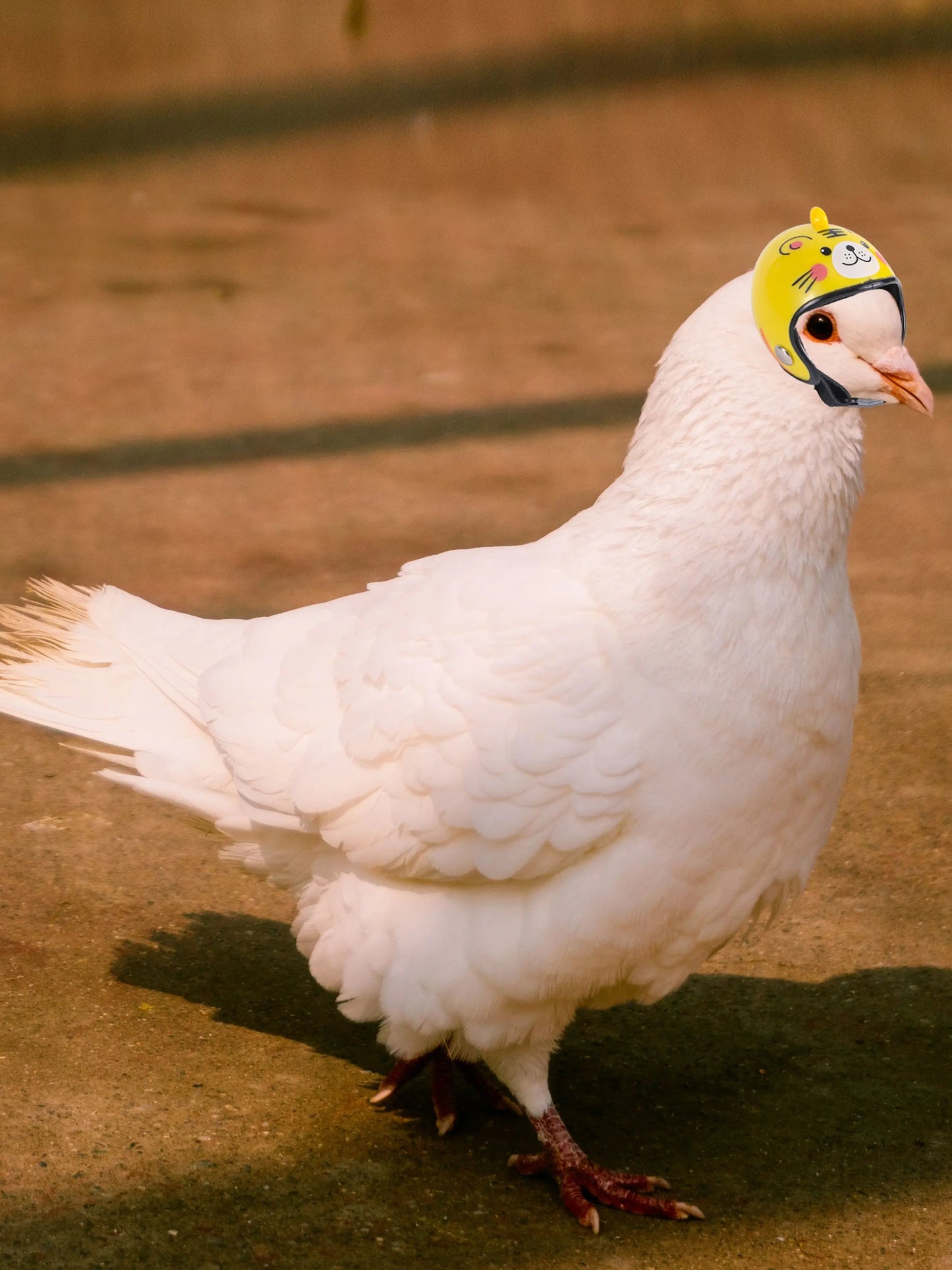 Wholesale Bulk Pigeon Helmet Parrot Hat Bird Pet Protective Gear Sunscreen Rain Helmet Toy Bird Small Pet Supplies Clothing Accessories - Furbury