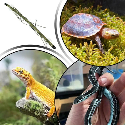 Wholesale Bulk Reptile Branch For Terrarium Suction Cup Terrarium Corner Branch Funny Snake Supplies Lizard Tank Ornament For Bearded Dragon - Furbury