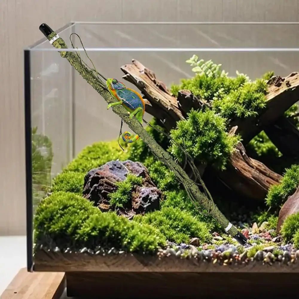 Wholesale Bulk Reptile Branch For Terrarium Suction Cup Terrarium Corner Branch Funny Snake Supplies Lizard Tank Ornament For Bearded Dragon - Furbury