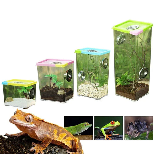 Wholesale Bulk Reptile Breeding Box Clear Acrylic Reptile Feeding Box Insect Box Mantis Breeding Insect Reptile Cage Terrarium Terrarium - Furbury