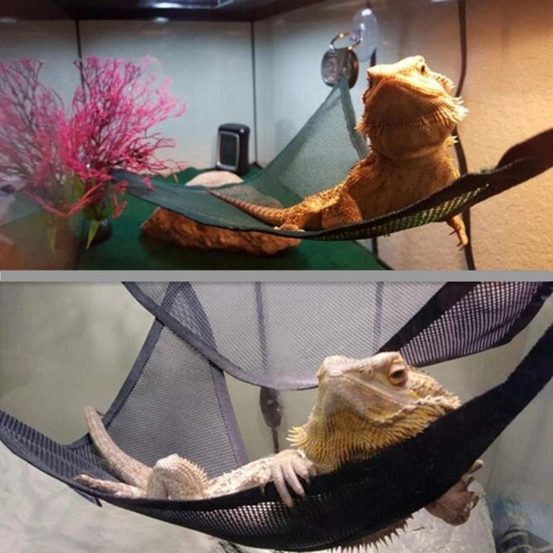 Wholesale Bulk Reptile Hammock Lounger Ladder Accessories Set for Large Small Bearded Dragons Anole Geckos Lizards or Snakes Reptile Accessorie - Furbury