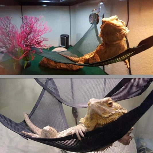 Wholesale Bulk Reptile Hammock Lounger Ladder Accessories Set for Large Small Bearded Dragons Anole Geckos Lizards or Snakes Reptile Accessorie - Furbury