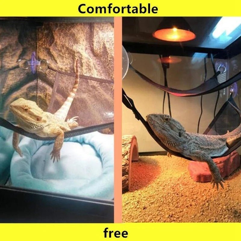 Wholesale Bulk Reptile Hammock Lounger Ladder Accessories Set for Large Small Bearded Dragons Anole Geckos Lizards or Snakes Reptile Accessorie - Furbury
