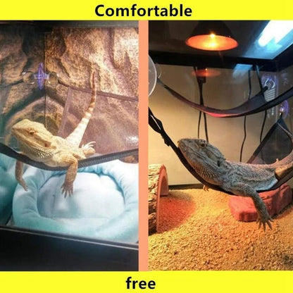 Wholesale Bulk Reptile Hammock Lounger Ladder Accessories Set for Large Small Bearded Dragons Anole Geckos Lizards or Snakes Reptile Accessorie - Furbury