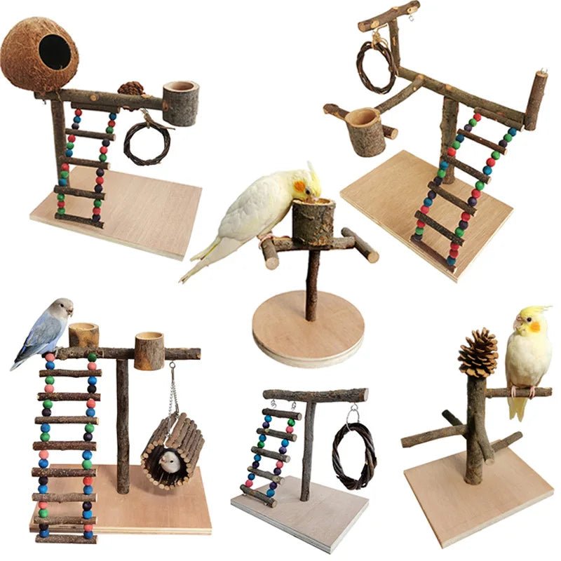 Wholesale Bulk Solid Wood Parrot Stand Training Bird Stand Parrot Toys Desktop Training Stand Pole Interactive Playground Small Pet supplies - Furbury