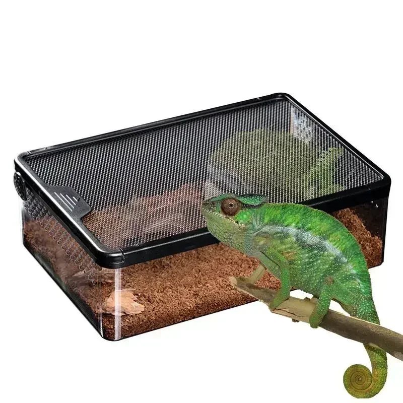 Wholesale Bulk Transparent Reptile Feeding Boxs Amphibian Insect Reptile Breeding Box Ventilated Hatching Container Reptile Terrarium Tanks - Furbury