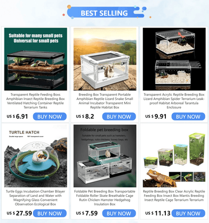 Wholesale Bulk Transparent Reptile Feeding Boxs Amphibian Insect Reptile Breeding Box Ventilated Hatching Container Reptile Terrarium Tanks - Furbury