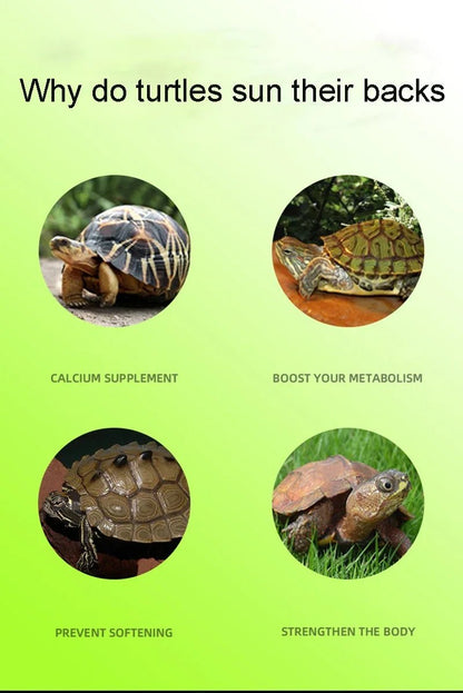 Wholesale Bulk Turtle Basking Platform Suction Cup Habitat Simulation Lawn Ramp Turtle Dock Floating Island For Reptile Terrarium Accessory - Furbury