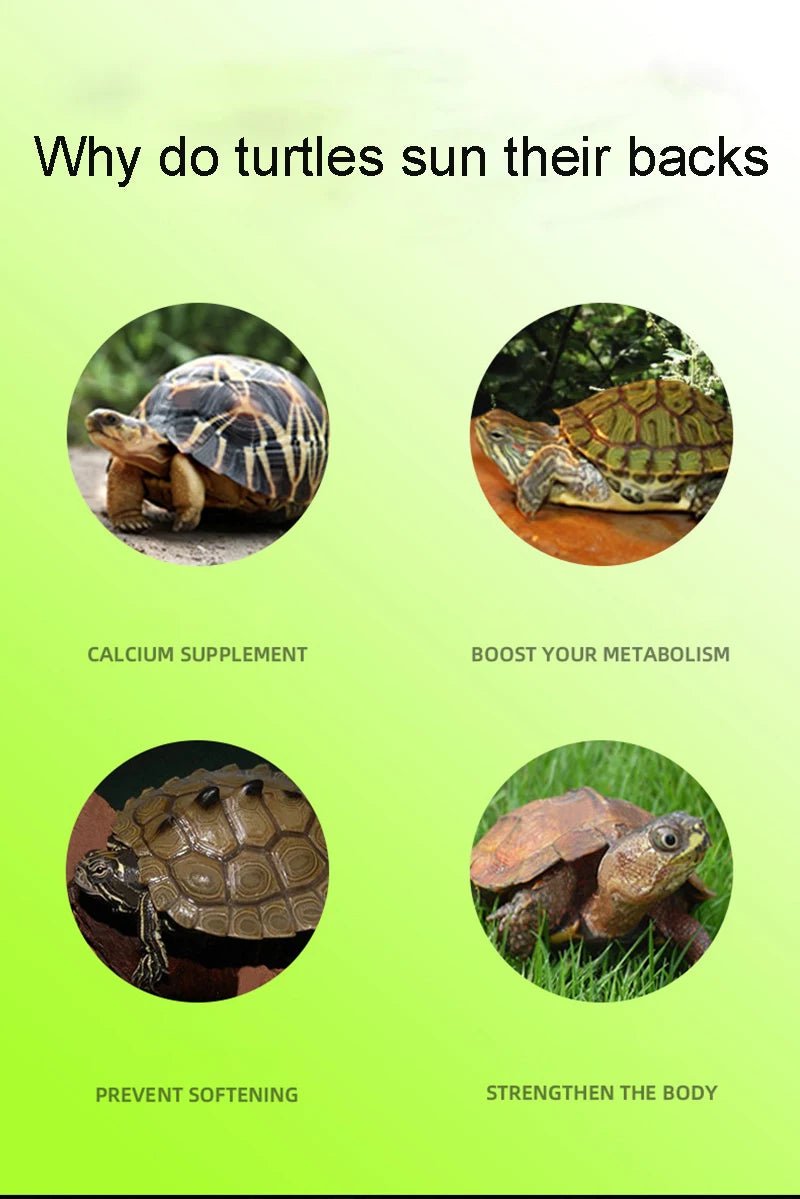 Wholesale Bulk Turtle Basking Platform Suction Cup Habitat Simulation Lawn Ramp Turtle Dock Floating Island For Reptile Terrarium Accessory - Furbury