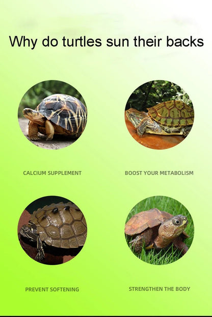 Wholesale Bulk Turtle Basking Platform Suction Cup Habitat Simulation Lawn Ramp Turtle Dock Floating Island For Reptile Terrarium Accessory - Furbury