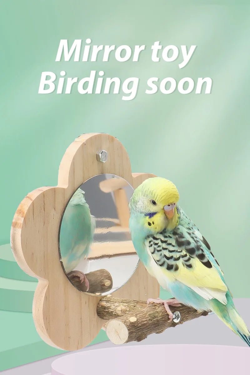 Wholesale Bulk Wooden Bird Perch Natural Wood Bird Perch Stand with Mirror Parrots Platform Cage Accessories Branch Perch Rod Stand - Furbury