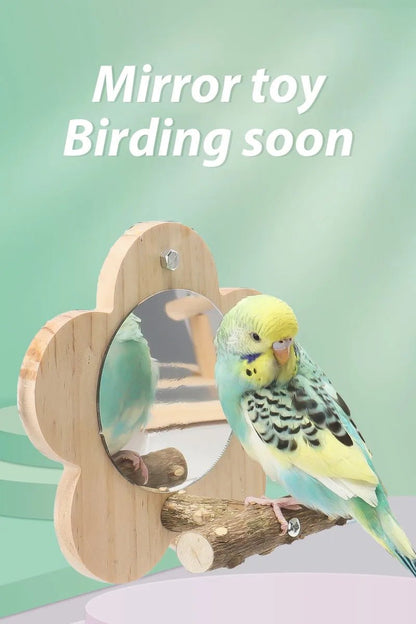 Wholesale Bulk Wooden Bird Perch Natural Wood Bird Perch Stand with Mirror Parrots Platform Cage Accessories Branch Perch Rod Stand - Furbury