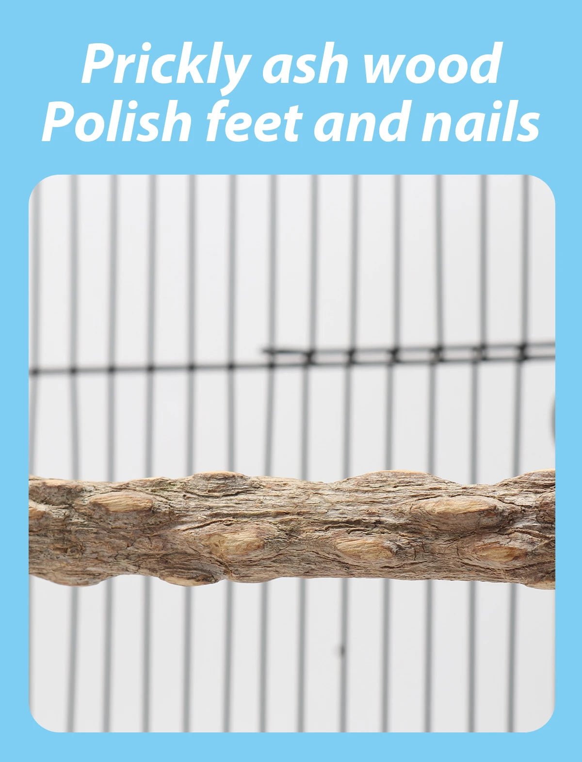 Wholesale Bulk Wooden Bird Swings Training Toy with Hanging Bell for Cockatiels Parakeets Cage Accessories Birdcage Parrot Perch Stand Play Gym - Furbury